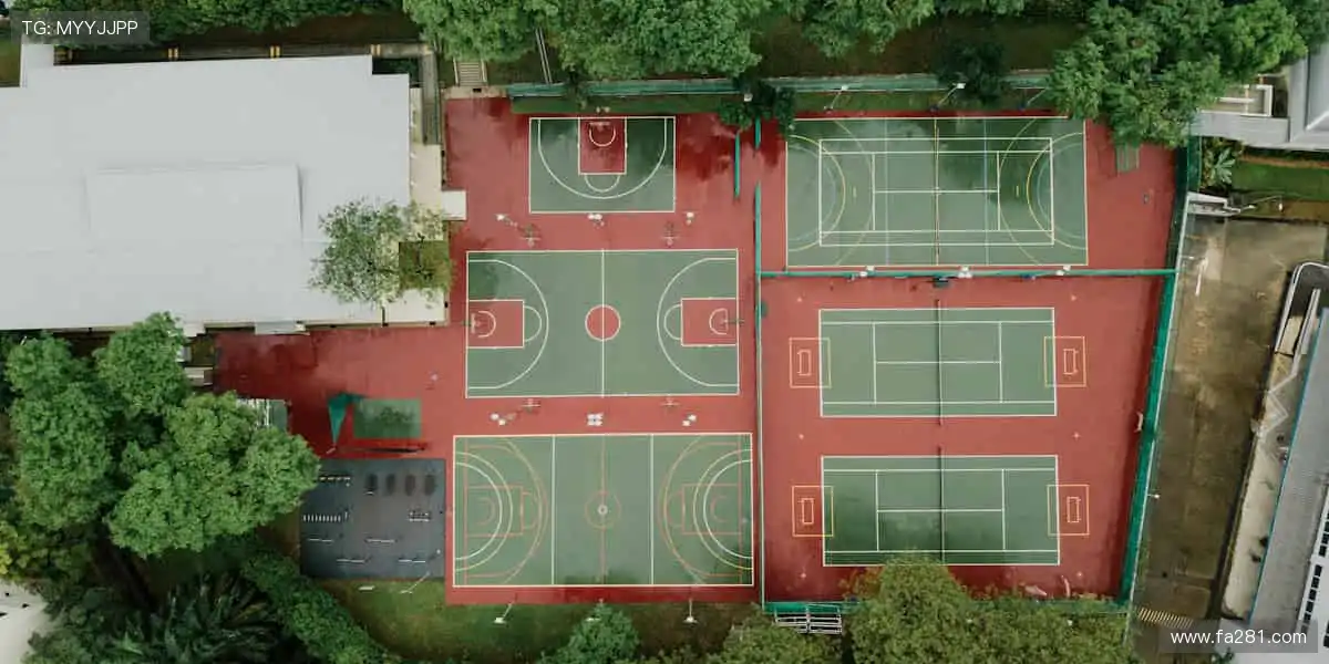 ⚡巅峰对决,心跳与欢呼同频!🏆